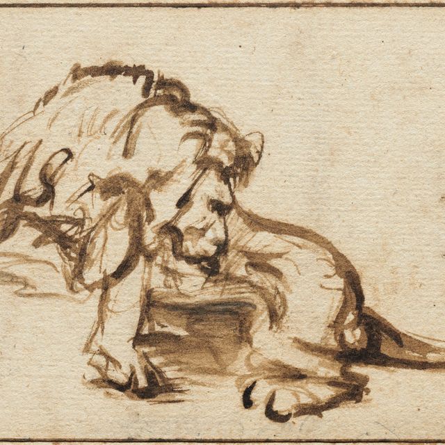 Rembrandt van Rijn — Сидящий лев, облизывающийся
