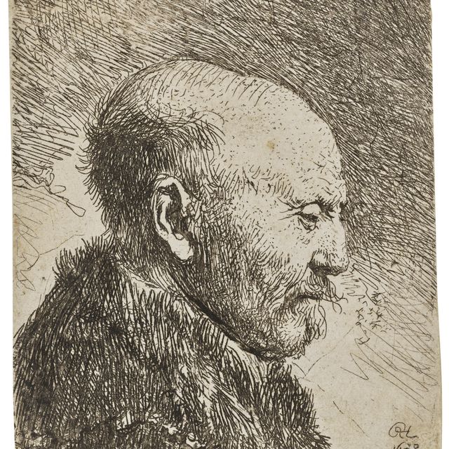 Rembrandt van Rijn — Лысый мужчина в профиль справа: отец художника (?)