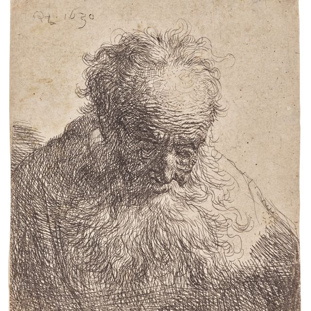 Rembrandt van Rijn — Бюст старика с развевающейся бородой: голова наклонена вперед, левое плечо не прикрыто