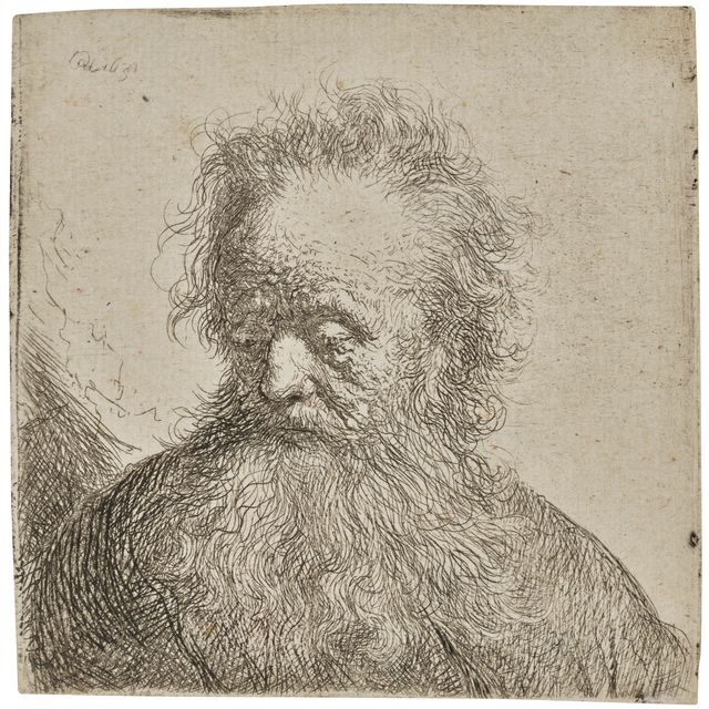 Rembrandt van Rijn — Старик с развевающейся бородой: Бюст