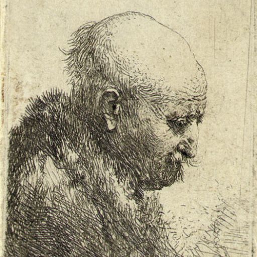 Rembrandt van Rijn — Лысый мужчина в профиль справа; Небольшой бюст; Отец художника (?) (Б., Зал. 294; ч. 24)