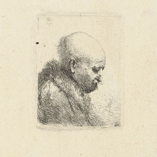 Rembrandt van Rijn — Лысый мужчина в профиль справа: Небольшой бюст; Отец художника (?) (Б., Зал. 294а; Н. 24)