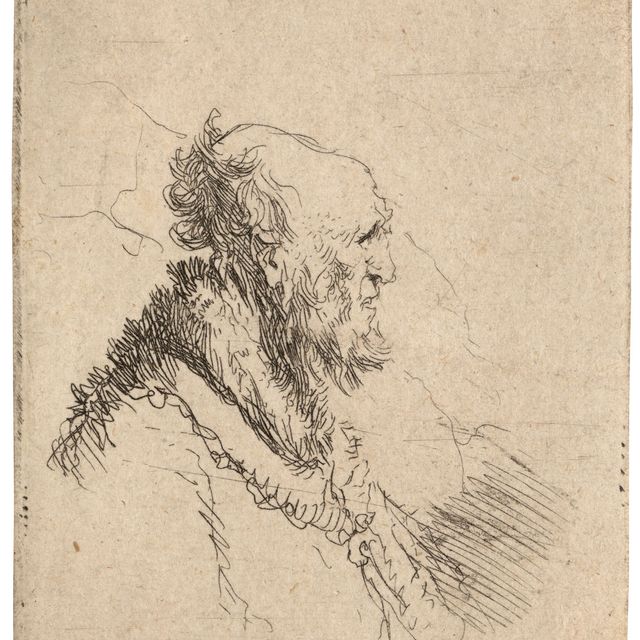 Rembrandt van Rijn — Лысый старик с короткой бородкой, в профиль справа