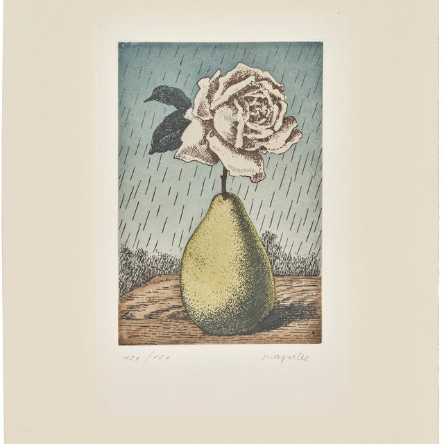 René Magritte — "Пуаре и роза" из "Моих дней существования"