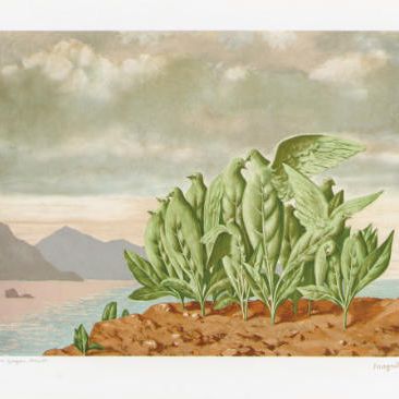 René Magritte — "Гнездышко Уизо" из "Искусства и философии Р. Магритта"