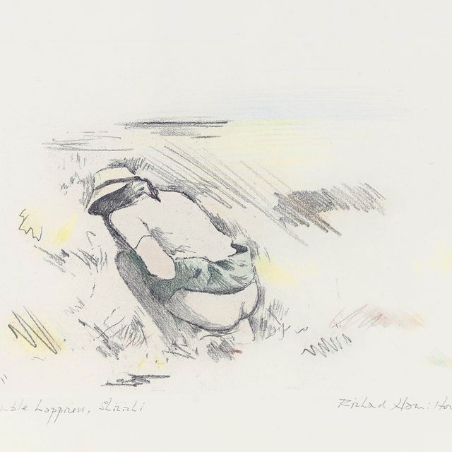 Richard Hamilton — Изысканный