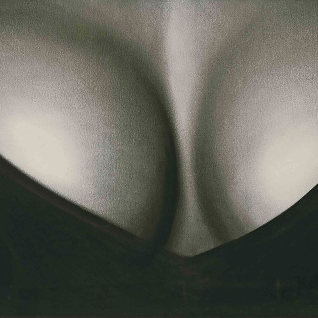 Robert Longo — Исследование Антонии