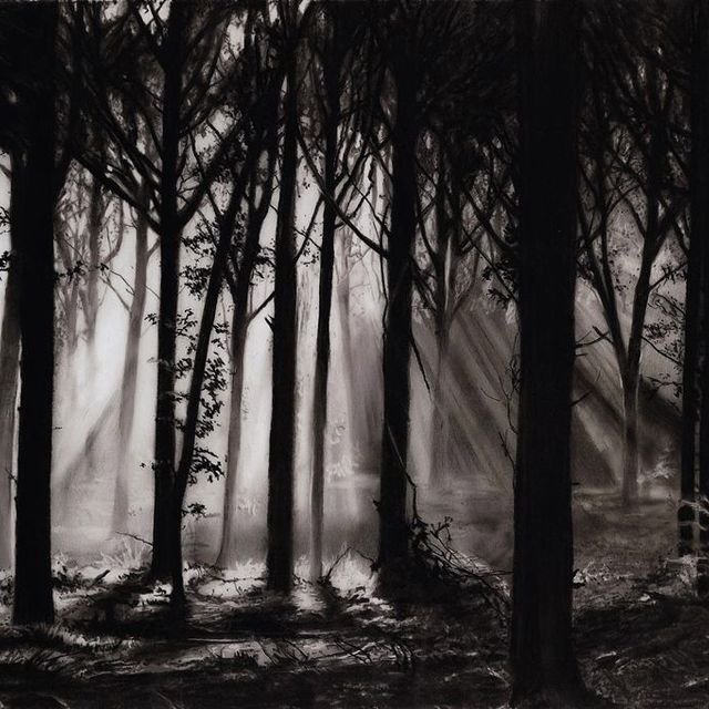 Robert Longo — Учеба в Шварцвальде