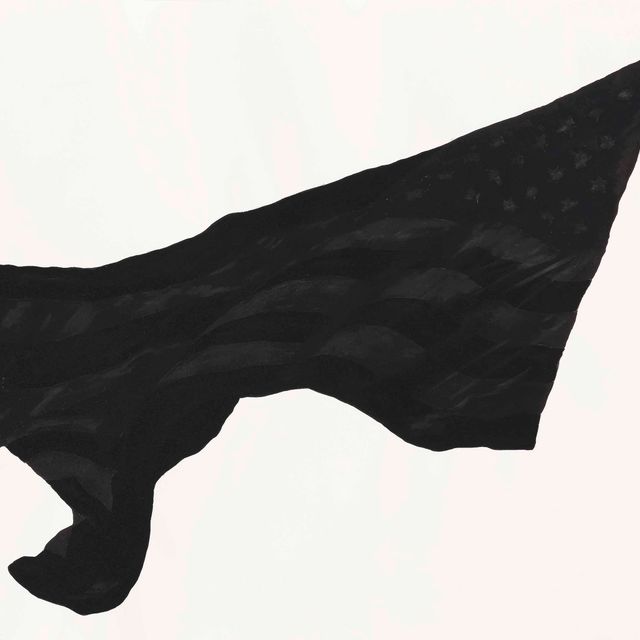 Robert Longo — Учеба для Black Flag 6С