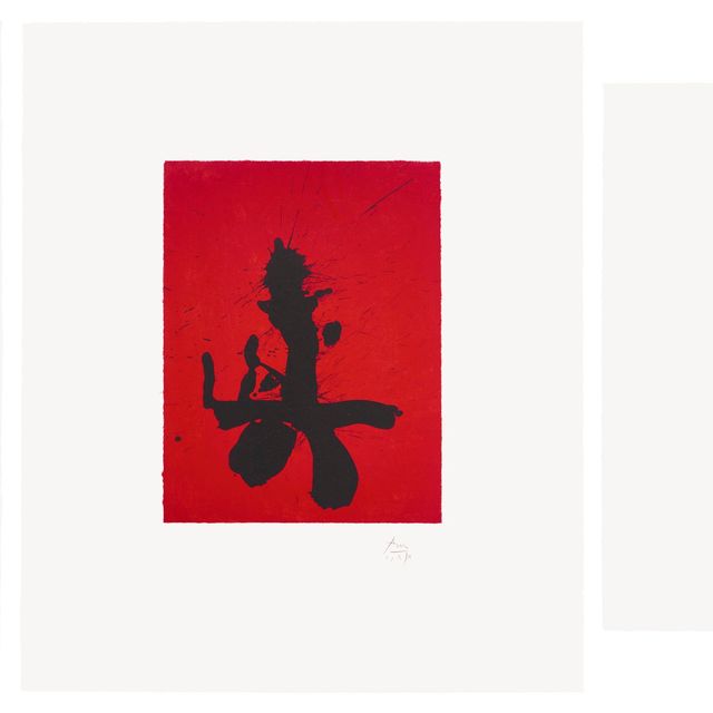 Robert Motherwell — Люкс Октавио Паса