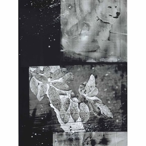 Robert Rauschenberg — Волчий лес (серия Urban Bourbon)