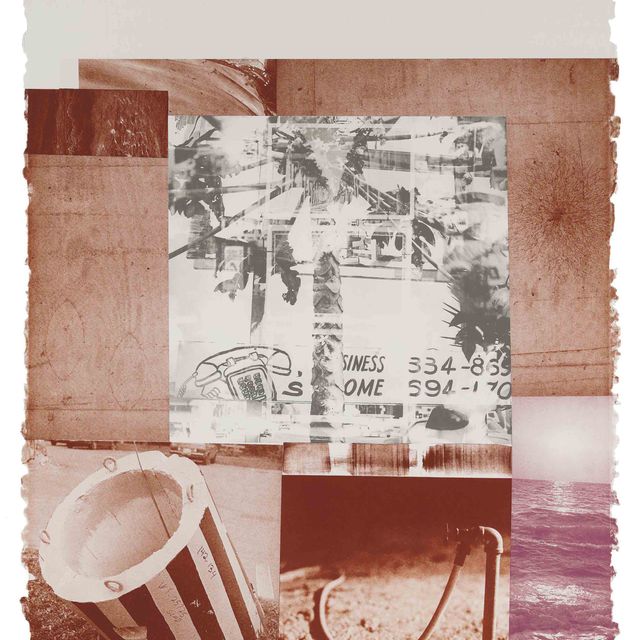 Robert Rauschenberg — Лежбище курганов - Серый сад (G. 848)