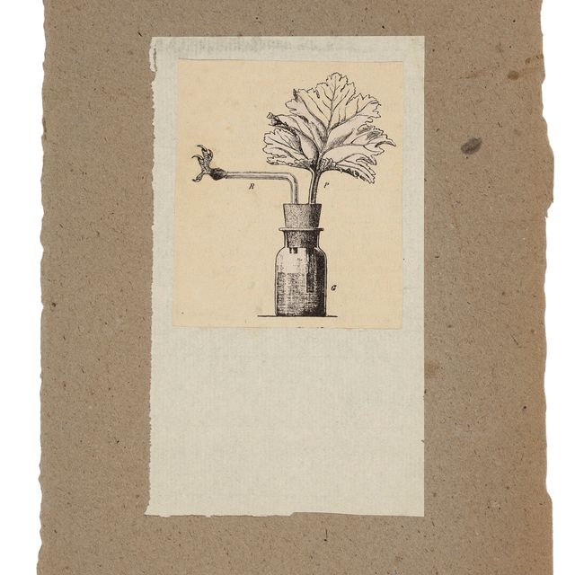 Robert Rauschenberg — Без названия [закупоренная бутылка]