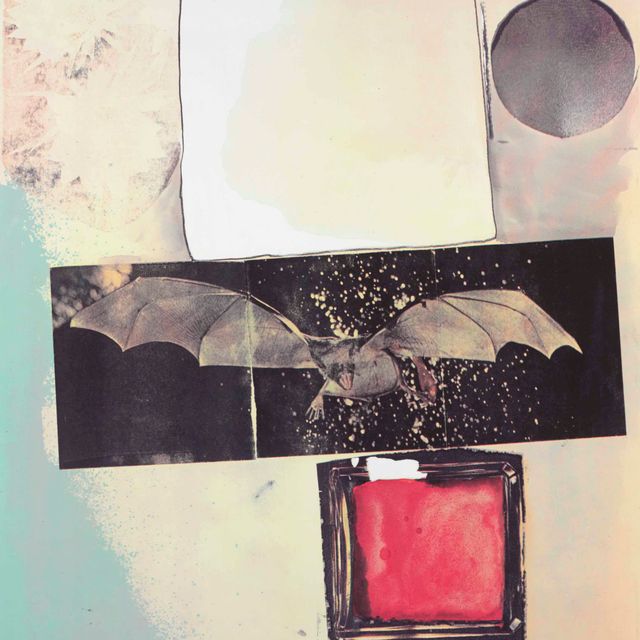 Robert Rauschenberg — Лучи