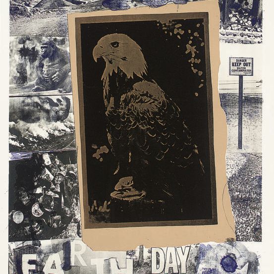 Robert Rauschenberg — День Земли (Близнецы 256)