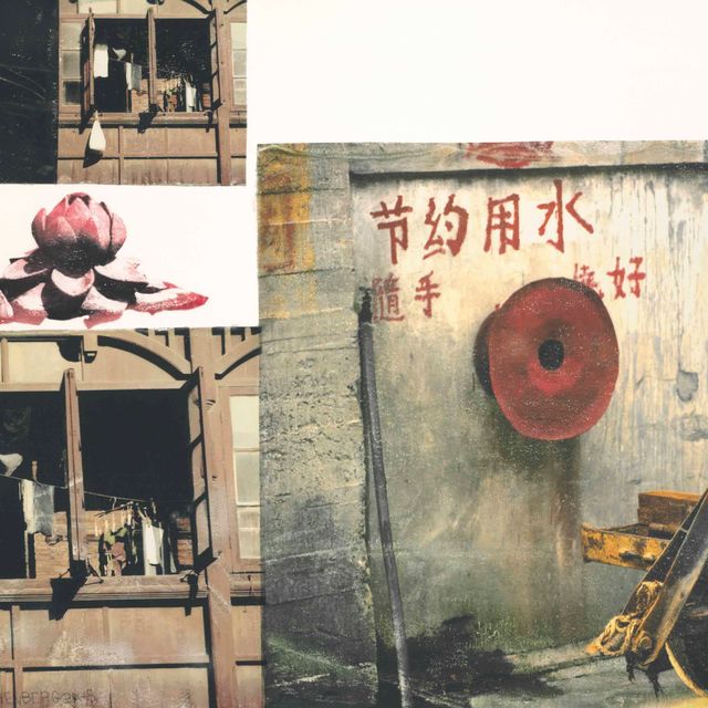 Robert Rauschenberg — Lotus V, из серии Lotus