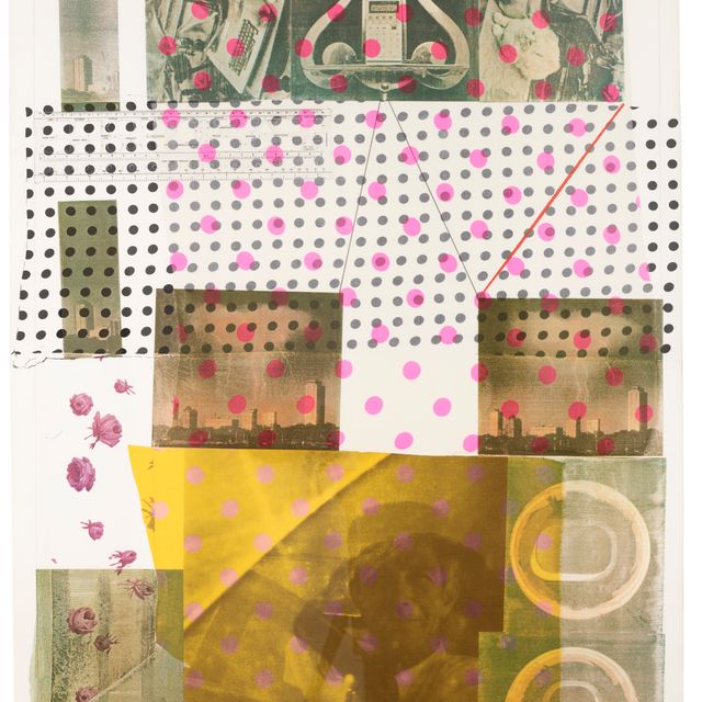 Robert Rauschenberg — Клетка