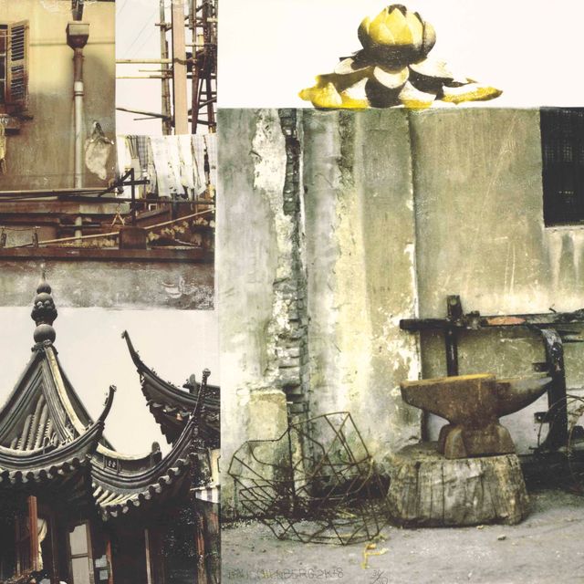 Robert Rauschenberg — Lotus III, из серии Lotus