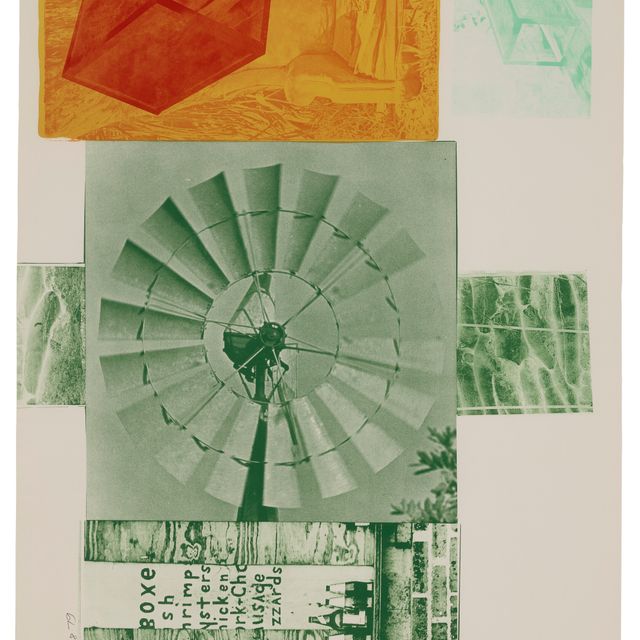 Robert Rauschenberg — Литография I из серии "Ледниковая приманка"