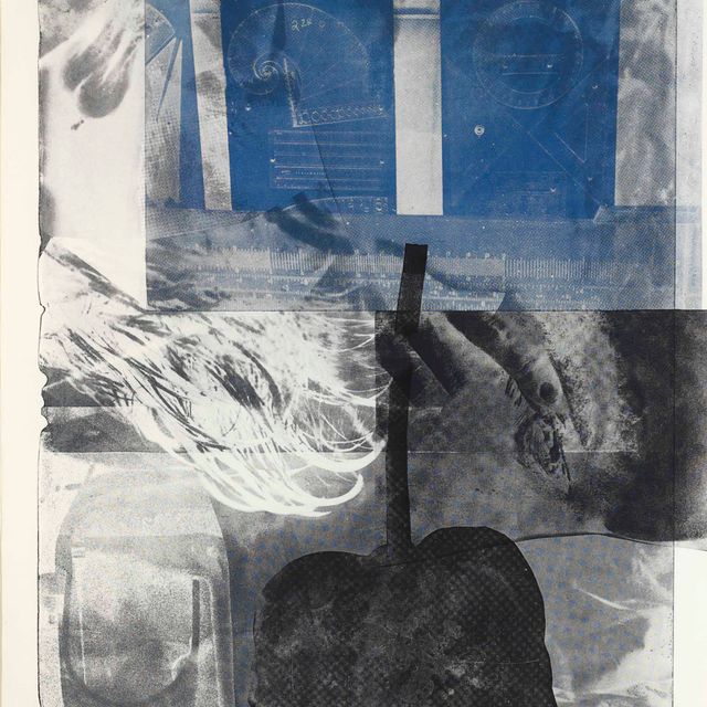 Robert Rauschenberg — Заносы