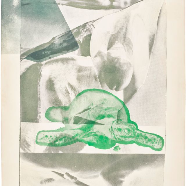 Robert Rauschenberg — Залив