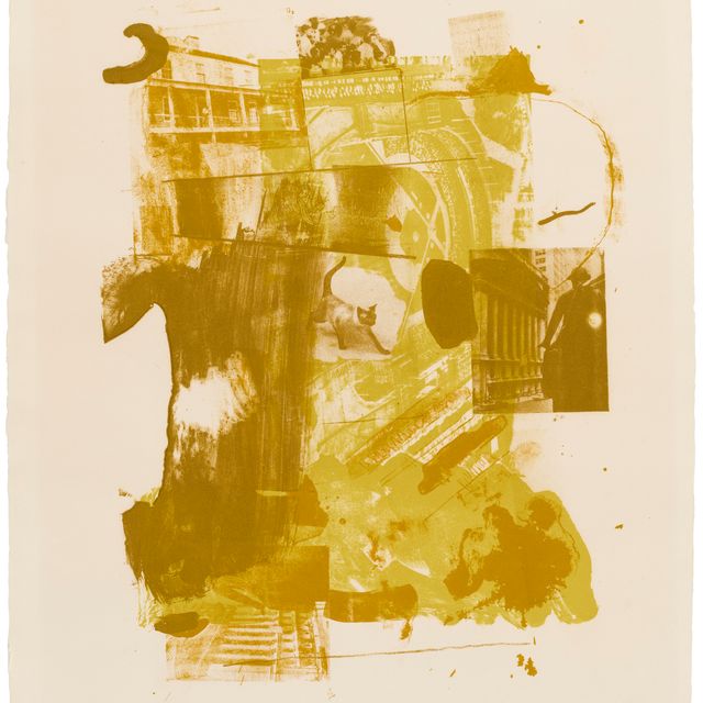 Robert Rauschenberg — Каскадер II