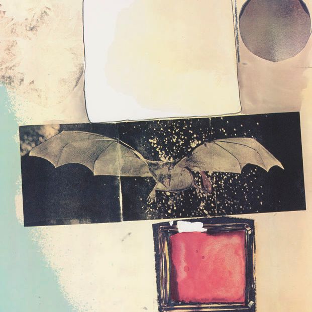 Robert Rauschenberg — Лучи