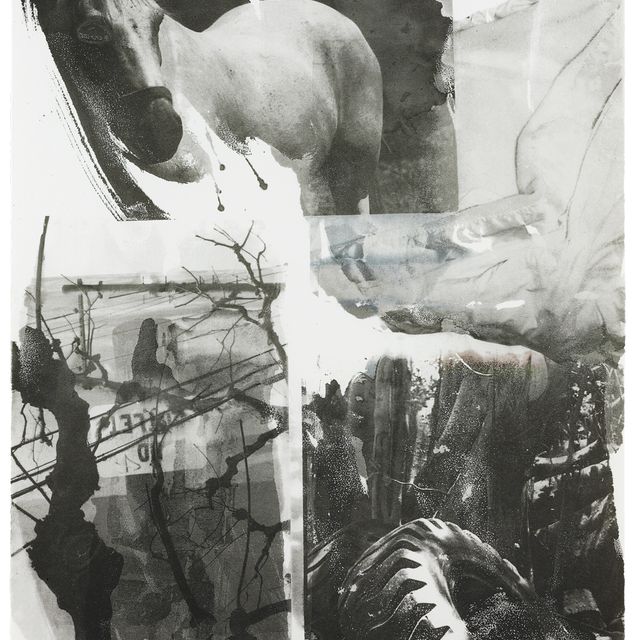 Robert Rauschenberg — Лошадиный шелк, из серии "Ночные прицелы"