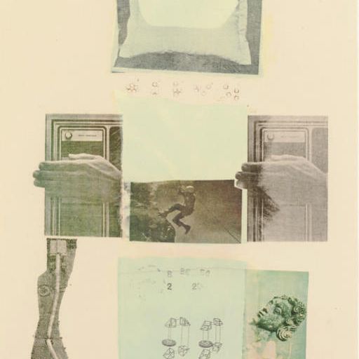 Robert Rauschenberg — Две причины, по которым поют птицы, из набора из девяти гравюр