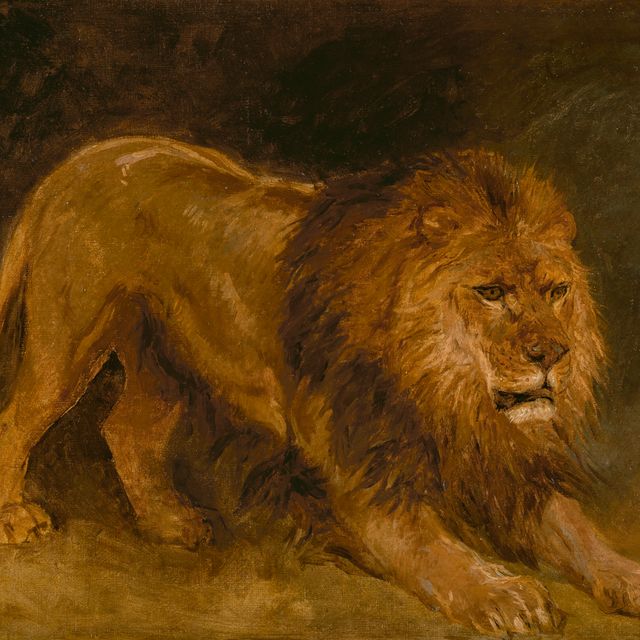 Rosa Bonheur — Лев, скрывающий свою профессию