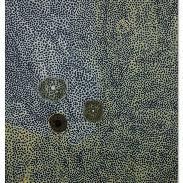 Ross Bleckner — Вторжение