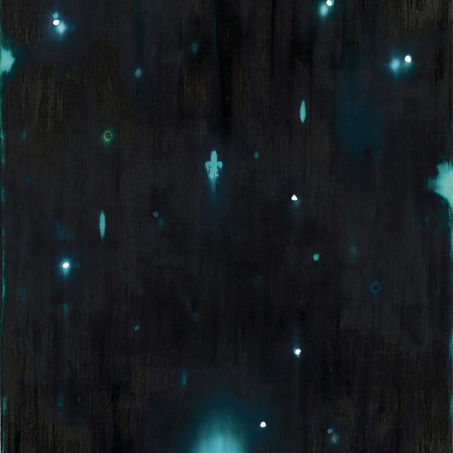 Ross Bleckner — В Стране Смертной Тени На Них Пролился Свет.