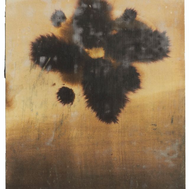 Ross Bleckner — Без названия