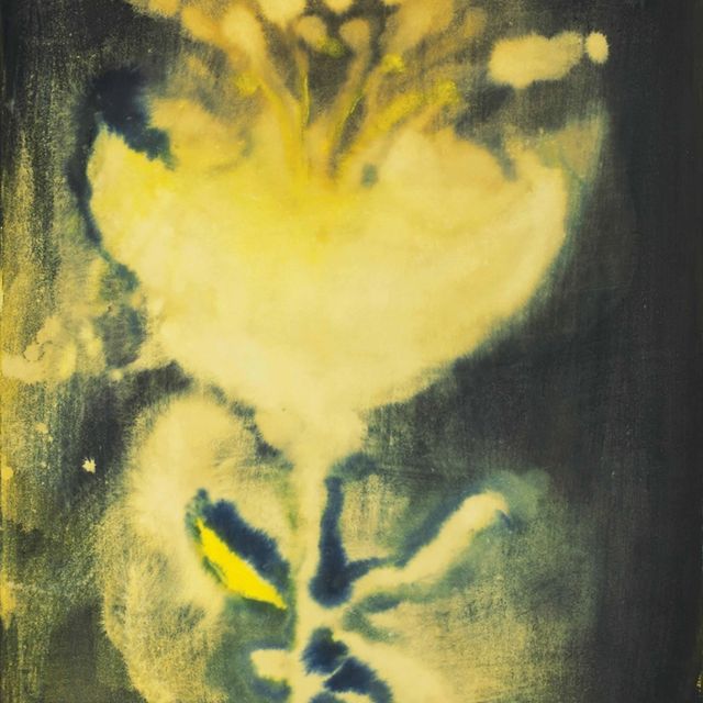 Ross Bleckner — Без названия