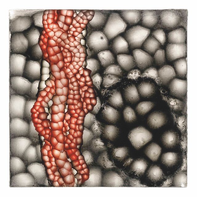 Ross Bleckner — Без названия