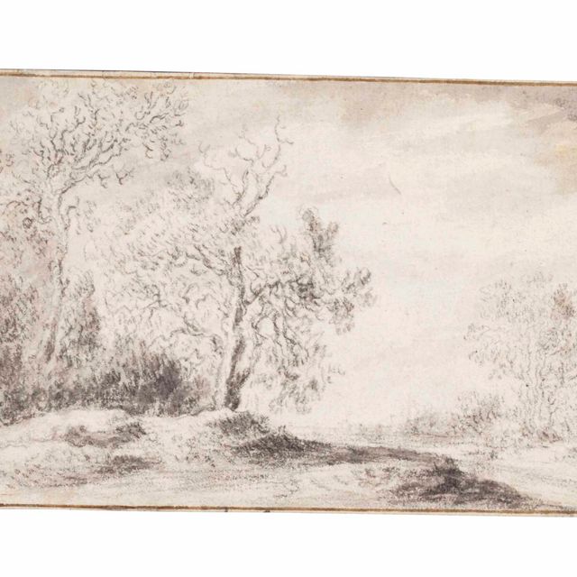 Salomon Van Ruysdael — Проселочная дорога с деревьями; и дюнный пейзаж с деревьями (рис. 11)
