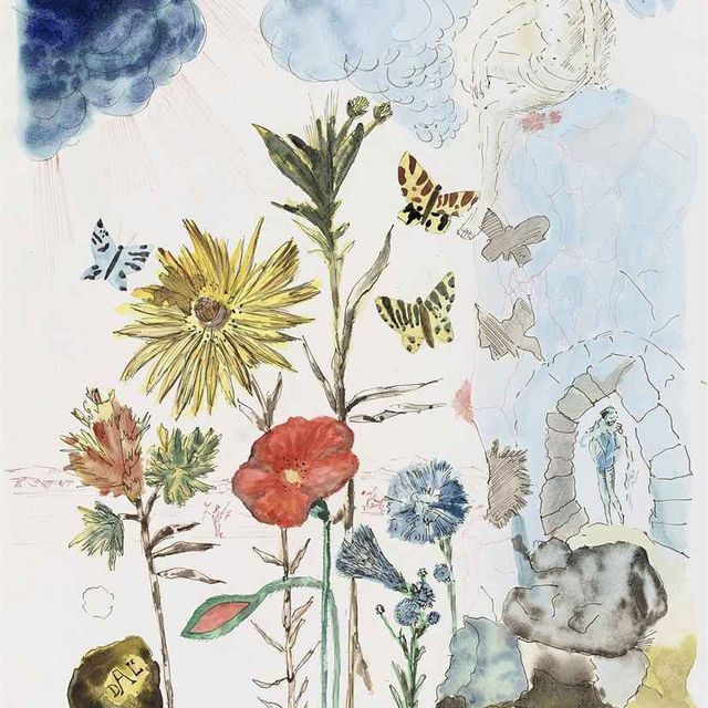 Salvador Dalí — Цветы с папильонками
