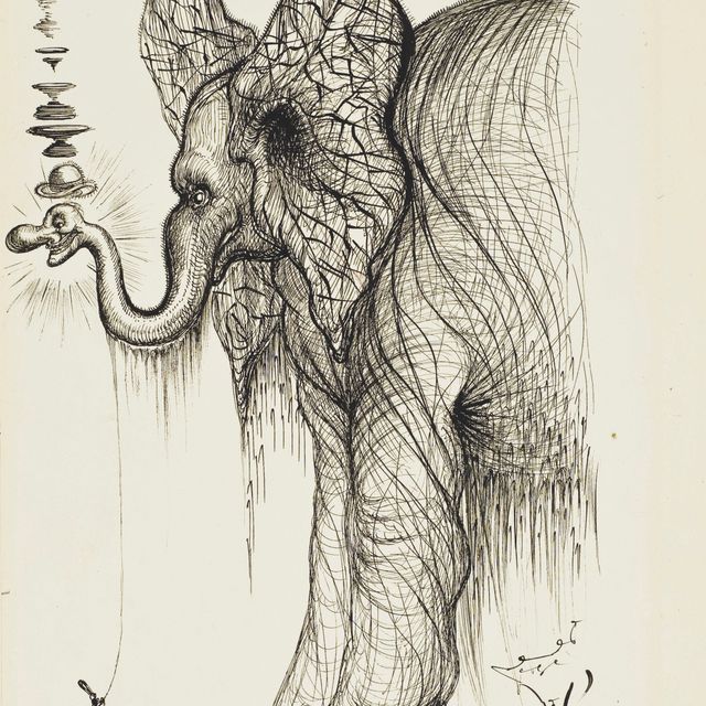 Salvador Dalí — Эльф