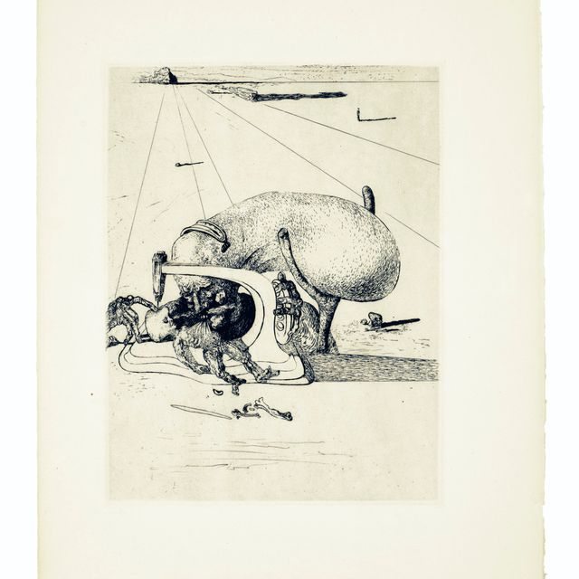 Salvador Dalí — Песни Мальдорора : 22 гравюры