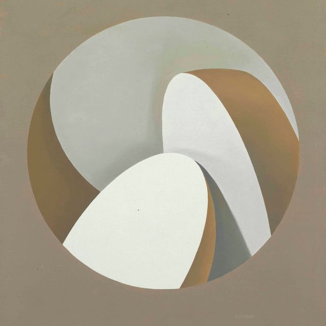 Samia Halaby — Фанат