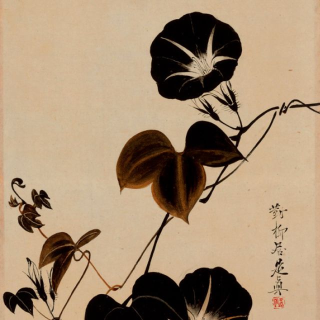Shibata Zeshin — Утреннее великолепие