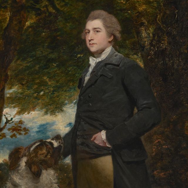 Sir Joshua Reynolds — Портрет сэра Джона Хонивуда (1757-1806), 4-го баронета, в три четверти роста, в черном сюртуке, рядом с деревом и собакой