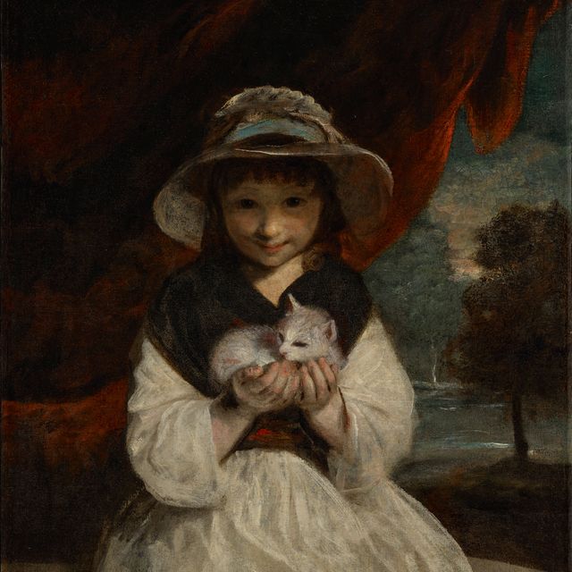 Sir Joshua Reynolds — Молодая девушка держит на руках свою кошку, а вдалеке виден пейзаж