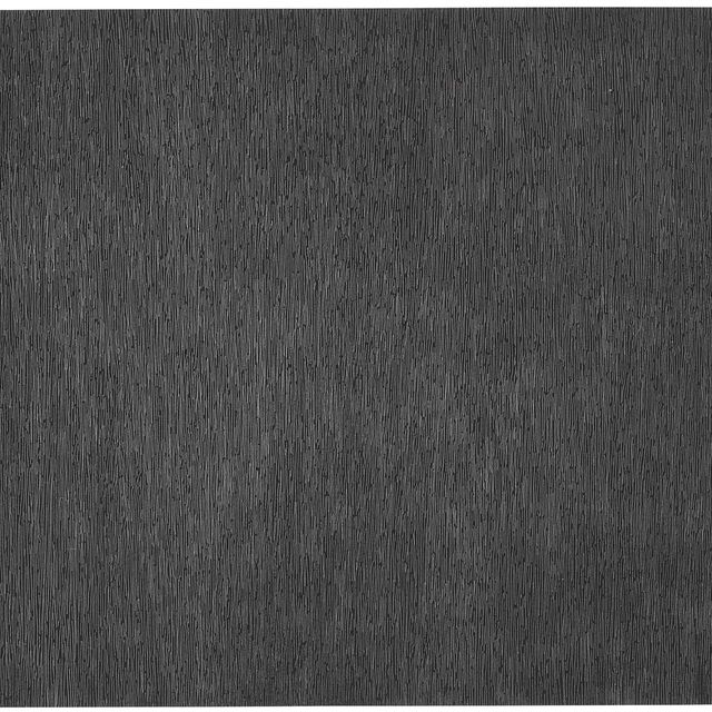 Sol LeWitt — Черный с белыми линиями, вертикальный, не соприкасающийся, из фильма "Заговор: Художник как свидетель"