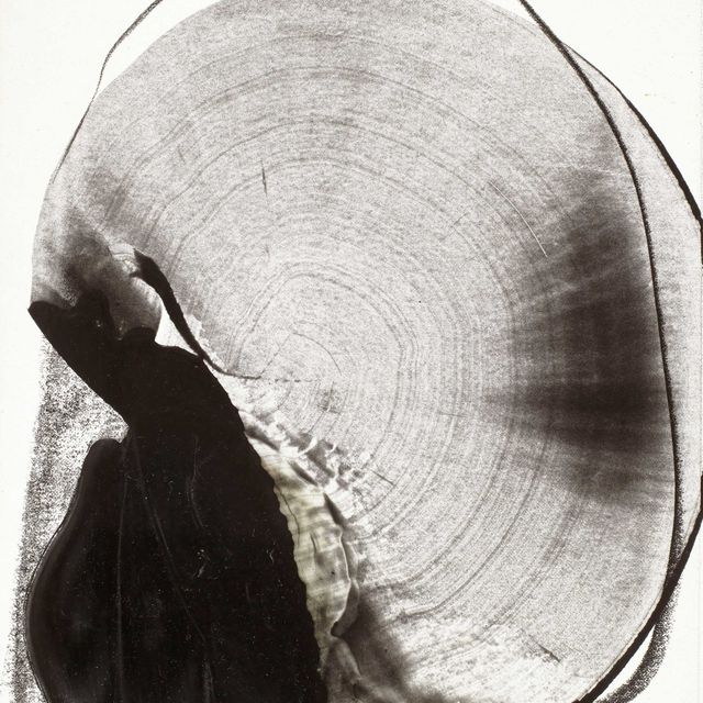 Takesada Matsutani — КРУГ ’96.12.1