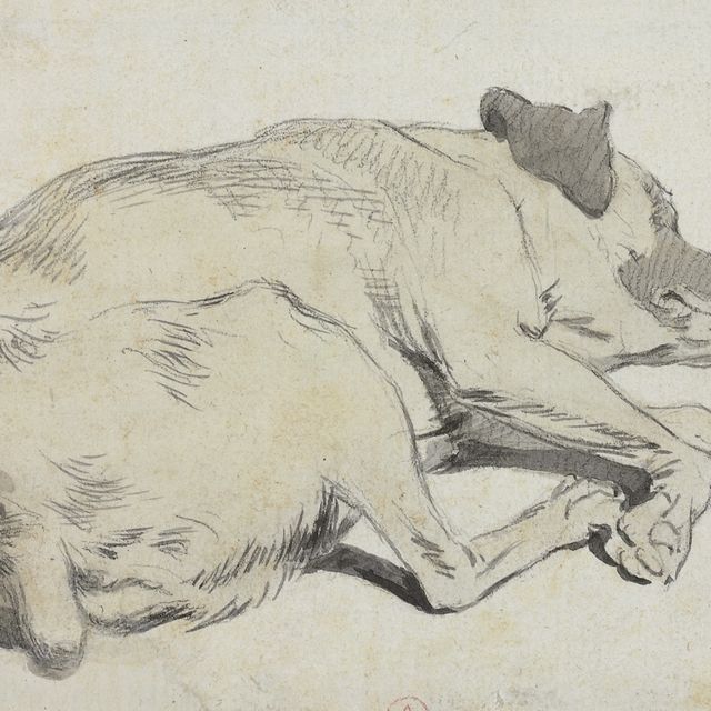 Théodore Géricault — Спящая собака