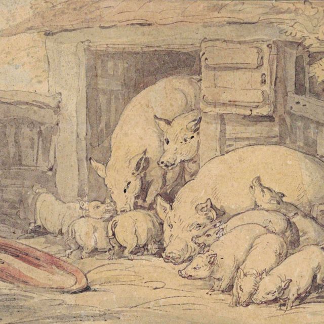 Thomas Rowlandson — Свинарник со свиноматками и поросятами