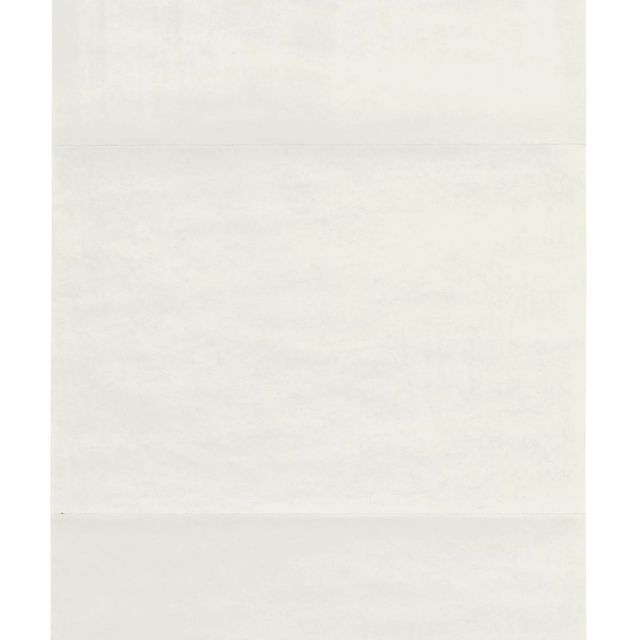 Tom Friedman — 11 x 22 x .005 мм