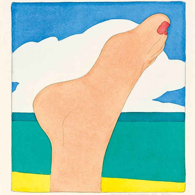Tom Wesselmann — Нога, от: Морской пейзаж