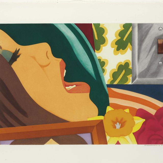 Tom Wesselmann — Лицо спальни